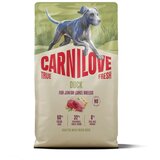 Carnilove Dog True Fresh Junior Large, briketi - raca 4 kg | Shoptok.si