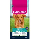 Eukanuba Premium Nutrition Adult Large & Giant Breed janjetina i riža - 12 kg | shoptok.hr