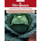 Dürr Samen Glavati ohrovt "Winter Prince" - 50 zrn. Cene