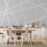  Foto tapeta - Modern Cobweb 100x70 | shoptok.hr