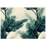  Tapeta - Magic Plants - Third Variant 150x105 | shoptok.hr
