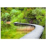  Samoljepljiva foto tapeta - Beautiful green 196x140 | shoptok.hr