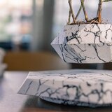  Levitirajuća Saksija | Eponuda.com
