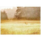  Tapeta - Morning Dew 450x315 | shoptok.hr