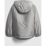 GAP Jacket - Boys | Shoptok.si