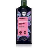 Yves Rocher Couleur šampon za nevtralizacijo rumenih tonov 300 ml Cene
