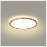  Brilagi - ULTRA SLIM LED plafonsko svetlo za kupatilo LED/18W/230V prečnik 30 cm, roze zlato, IP54 | Eponuda.com