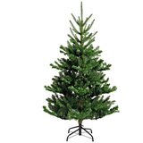 Novogodišnja jelka alba fir 150cm