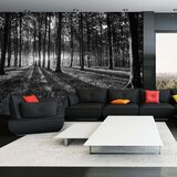  Tapeta - The Light in the Forest 100x70 Cijene