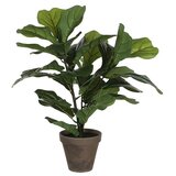  Umjetni cvijet Ficus Lyrata (Visina: 35 cm, Zelena) Cijene