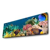 WALLXPERT slika na platnu sa led osvetljenjem sea | ePonuda.com