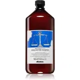 DAVINES Naturaltech Rebalancing Shampoo globinsko čistilni šampon za mastno lasišče 1000 ml