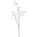 Mömax Umetna Rastlina Acalypha I Cene