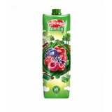  SOK FAMILY VOCNI MIX 1L BRIK NECTAR Cene