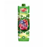 SOK FAMILY VOCNI MIX 1L BRIK NECTAR