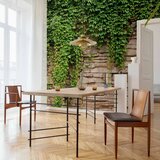  Foto tapeta - Ivy wall 150x105 | shoptok.hr