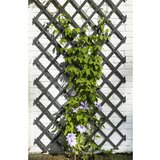 Nature oporna mreža za rastline 50x150 cm lesena antracit, (21058699) cene