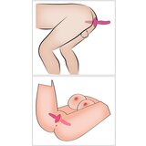 You2Toys 2 v 1 Vibrator in analni vibracijski čep (R5404347) | Shoptok.si