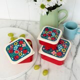 Rex London Otroška posoda za malico 3 kos Ladybird – | Shoptok.si