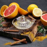 Galicja cjedilo citrusa stakleno | shoptok.hr