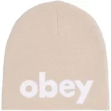 Kape Lowercase Beanie Srebrna