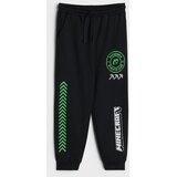 Sinsay Oversize jogger trenirke Minecraft | shoptok.hr