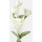 Sinsay Ukrasna umjetna biljka | shoptok.hr