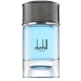 Dunhill Signature Collection Nordic Fougere parfumirana voda za moške 100 ml | Shoptok.si