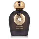 Parfem za oba spola Tiziana Terenzi Hyakutake 100 ml | shoptok.hr