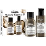 L´Oréal Paris Serie Expert Absolut Repair Molecular darilni set za poškodovane lase | Shoptok.si