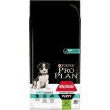 Pro Plan Medium Puppy Sensitive Digestion Jagnjetina, 12 kg