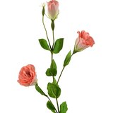 Mondex umetna roža plastika Viridis Eustoma 70cm gumiran 1kos, (5000301163) | Shoptok.si