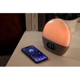 WIIM se zbudi / Sonnenaufgang silber | Shoptok.si