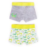 Yoclub kids's cotton boys' boxer briefs underwear 2-pack BMB-0011C-AA30-001 | shoptok.hr