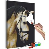  Slika za samostalno slikanje - Horse Portrait 40x60 | shoptok.hr