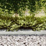  Ograda oko Travnjaka 50 pcs Srebrno 100 x 0,05 x 15 cm | shoptok.hr