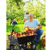 baštenska/transportna kolica garden line, 300 kg, 75 l black