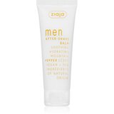 Ziaja Men pomirjujoči balzam za po britju Mountain Pepper 80 ml | Shoptok.si
