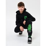 Sinsay Jogger donji dio trenirke Minecraft | shoptok.hr