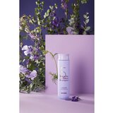 Masil 5 Salon No Yellow ljubičasti šampon neutralizirajući žuti tonovi 300 ml | shoptok.hr