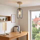 Brilagi LED prislonjeni plafonski luster R GLASS 1xE27/60W/230V prečnik 14 cm bež/dimno siva | Eponuda.com
