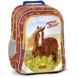 Ars Una Moj sladki konj ergo-fit zaobljen šolski nahrbtnik, 34x40x21cm | Shoptok.si