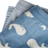Petit Bateau BOXERS X 3 Plava | shoptok.hr