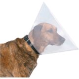 Trixie Veterinarski ovratnik L-XL 47-57 cm/30 cm | Shoptok.si