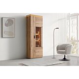 Hom`in VITRINA, barve hrasta | Shoptok.si