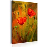  Slika - The Awakening of Poppy 80x120 Cijene