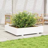 Maison Chic Vrtno cvetlično korito - Cvetlični Lonec belo 110x110x26,5 cm trdna borovina, (21788510) | Shoptok.si