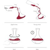 VACUVIN decanter -76010602 | ePonuda.com