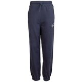 Tommy Hilfiger Hlače DW0DW11886C87S Cene