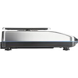Kern PWS 8000-1 precizna vaga Opseg mjerenja (kg) 8.2 kg Mogućnost očitanja 0.1 g srebrna | Eponuda.ba